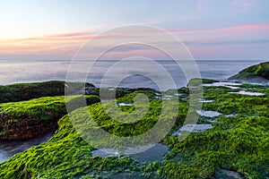 Colorful sea shore with green algae long exposure water at sunset time