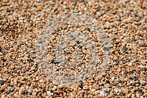 Colorful sea stones background. Colorful pebbles texture