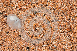 Colorful sea stones background. Colorful pebbles texture