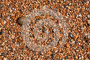 Colorful sea stones background. Colorful pebbles texture