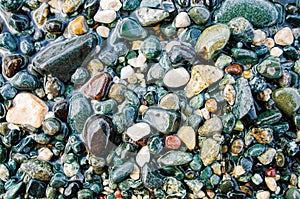 Colorful sea stones on the shore close up. Top view. Abstract background texture, sea stones in water.