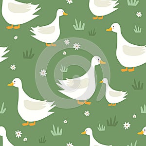 Colorful seamless pattern with happy geese. Decorative cute background with funny birds, flowers, grass