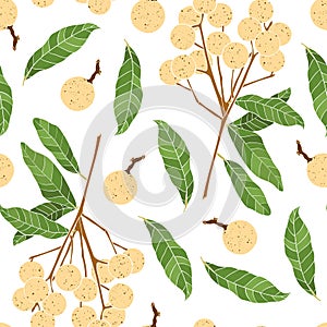 Colorful seamless pattern with longan fruit. Branch and leaves of longan isolated on white background.