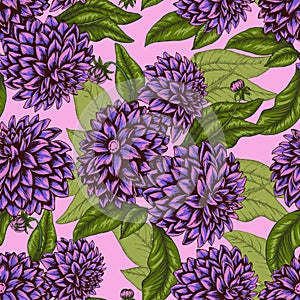 Colorful seamless pattern with pink dahlia flowers