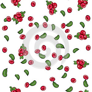 Colorful seamless wallpaper with cranberry branches, leaves and berries on a white background.