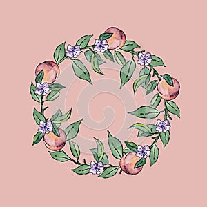 Colorful seamless wreath of peaches, leaves and flowers on a pink background.