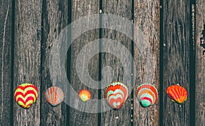 Colorful seashells on rustic wooden planks