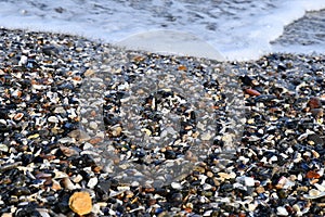 Colorful seashells and small stones in foam wave