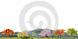 Colorful of seasonal flower, field farm meadow and scenery in mountain range