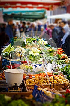 Colorful selection of vegetables on the farmers market in Mainz