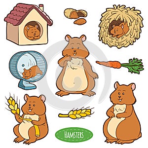 Colorful set of cute animals and objects, vector stickers with hamsters