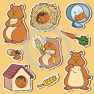 Colorful set of cute hamsters and objects, stickers