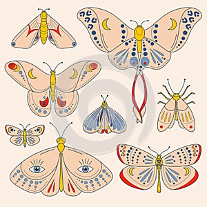 Colorful set of moths and butterflies