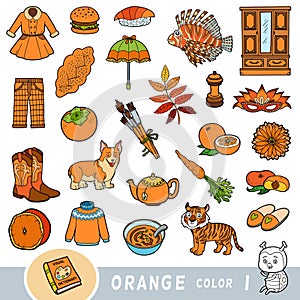 Colorful set of orange color objects. Visual dictionary for children about the basic colors