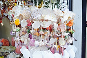 The colorful shell curtain made from shells decoration