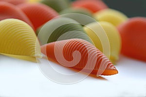 Colorful shells
