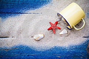 Colorful shells cup sand strewn blue boards