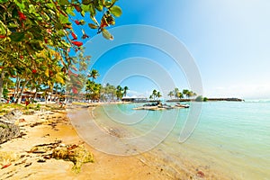 Colorful shore in Bas du Fort beach in Guadeloupe