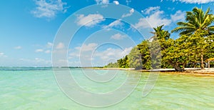 Colorful shore in Bois Jolan beach in Guadeloupe