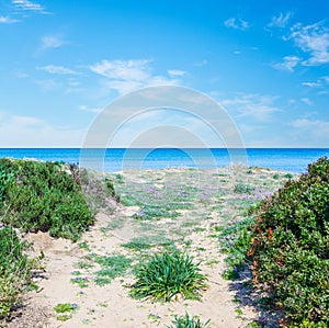 Colorful shore in Fiume Santo