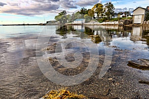 Colorful shoreline in the morning light on the coast of Maine in the springtime