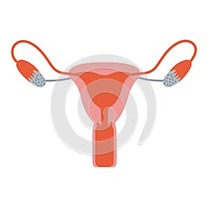 Colorful silhouette without contour female reproductive system