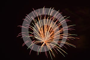 A colorful single firework in the night sky