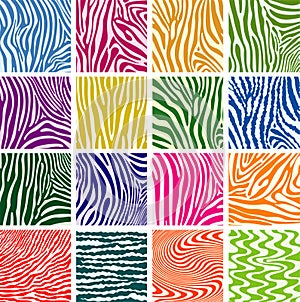 Colorful skin textures of zebra