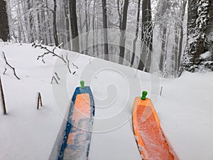 Colorful skitouring ski in winter forest full of snow