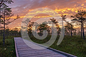 Colorful sky over a trail in a bog