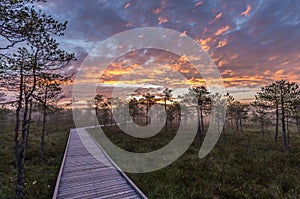 Colorful sky over a trail in a bog