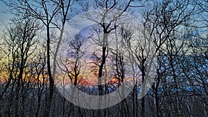 Colorful sky through the trees at blue mounds state park at the sunset tower