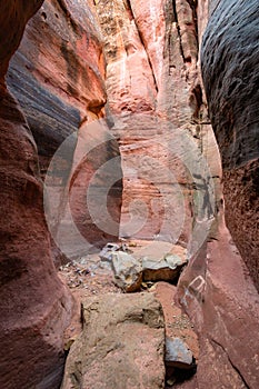 Colorful slot canyon scene in Page, Arizona, USA