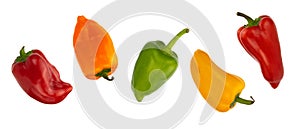 colorful small peppers on a white background. Sweet pepper Mini Bell. assorted paprika