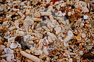 Colorful small sandstones on the beach along the coastline in Labuan Bajo, Indonesia.