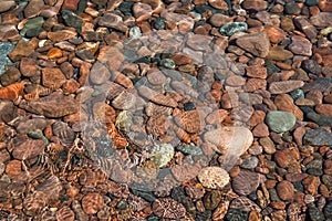 Colorful, smooth stones lie under ripples of water near the shor