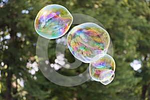 Colorful soap bubble in the air