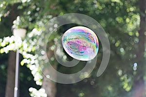 Colorful soap bubble in the air