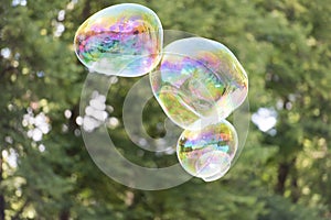 Colorful soap bubble in the air