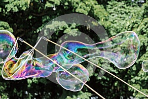 Colorful soap bubbles in air