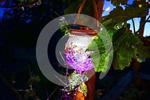 Colorful Solarlight by Night