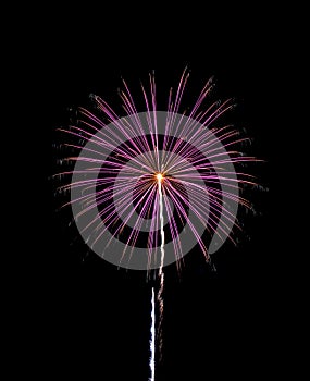 Colorful sparkle fireworks in night sky