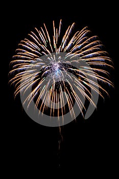 Colorful sparkle fireworks in night sky