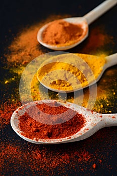 Colorful spices on cooking spoons