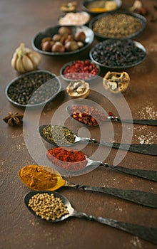 Colorful spices in teaspoons