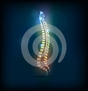 Colorful spine vertebral column photo