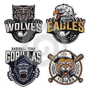 Colorful sports clubs vintage emblems