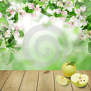 Colorful Spring Blossom Background with Apple Fruits