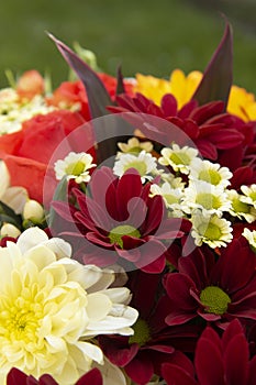 Colorful spring bouquet flowers with roses, chrysanthemum and camomile. Beautiful flower gift. Template for design. Copy space