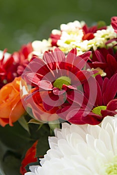 Colorful spring bouquet flowers with roses, chrysanthemum and camomile. Beautiful flower gift. Template for design. Copy space